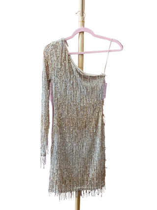 Gold + Silver Fringe Mini Dress